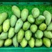 green mangoes