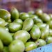 Mangos in indsutry backs
